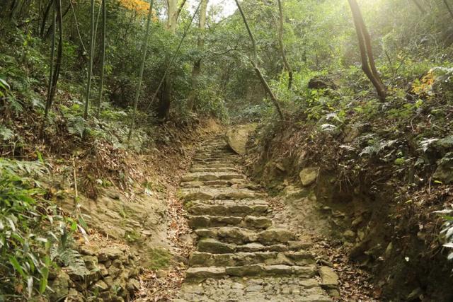 进化藏了个神仙徒步地，出片率极高！