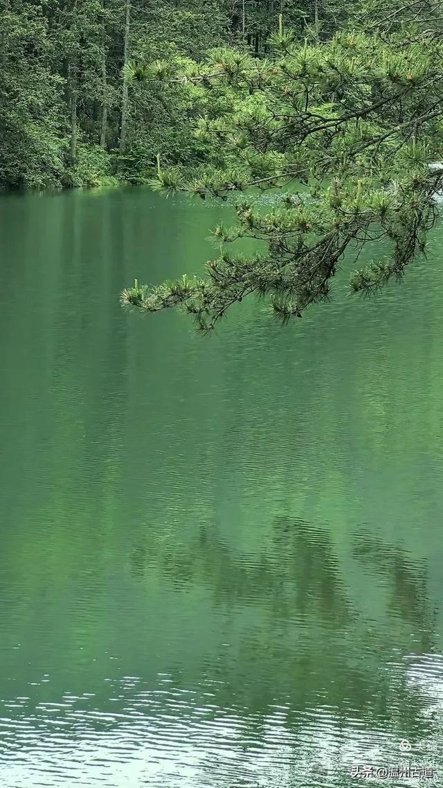 温州酷暑哪里有清凉,当然永嘉四海山!