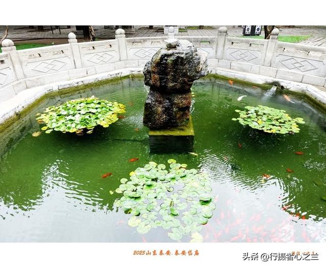 山东行游影记（307）—泰安岱庙（三）