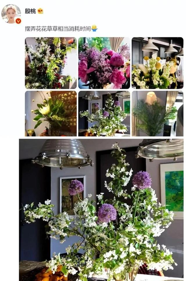46岁殷桃的“豪宅”又火了，仅一院子就圈粉无数，那叫一个壮观！
