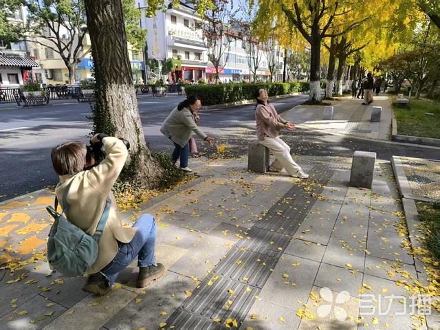 落叶缓扫！来苏州道前街打卡“秋日限定”