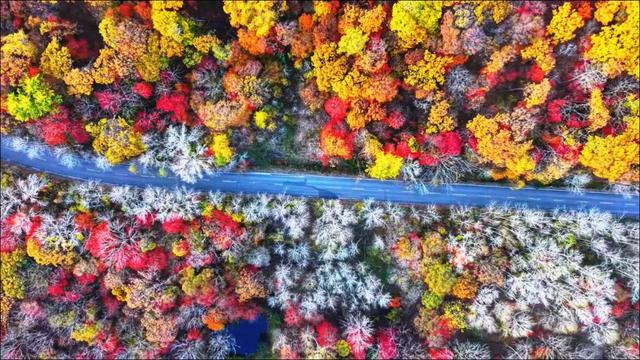 G334,一条藏着抗联魂、黄金史和林海趣的通道