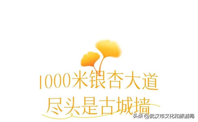 限时绝美！武汉街头颜值巅峰，地铁直达