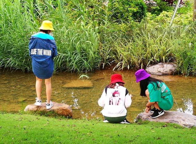 题：三九天别乱吃！这3道菜润肺健脾提免疫	，家家都能做