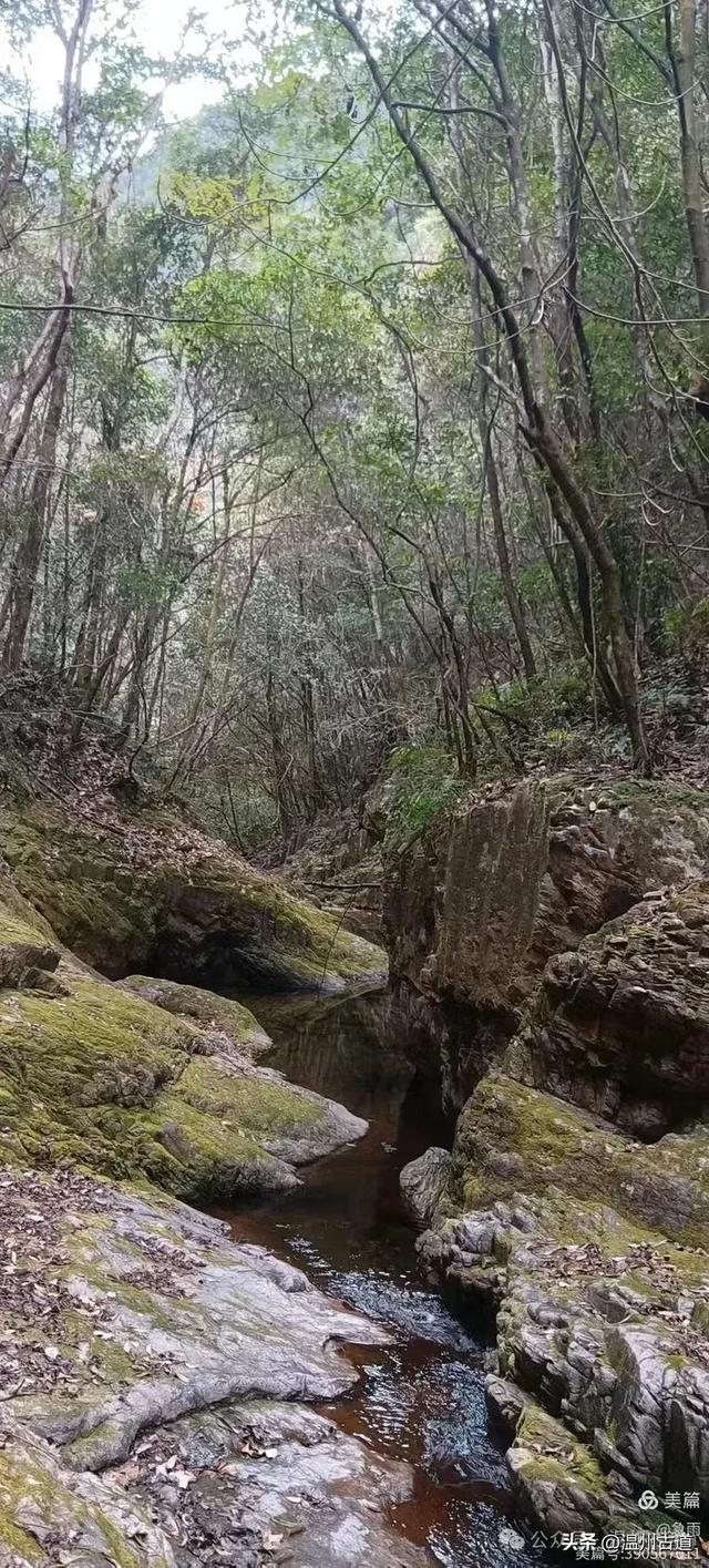 探秘楠溪江源头，深山中的秘境！