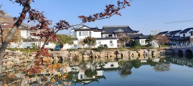 寻美薛城丨谁还没去？薛城小江南留园山庄这片初冬美景秘境藏不住了，速来打卡！