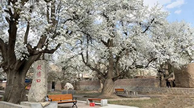 【白银文旅】清明时节 铜城寻春——解锁白银春日限定风光