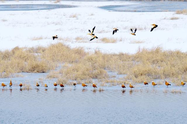 “中国最美县域”！长治沁源县上榜！