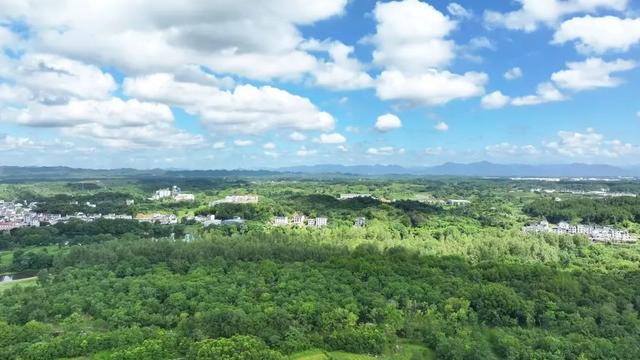 《这里归我罩》在屯溪开机，把山水写成 “爆款剧本”！| 皖美夏日