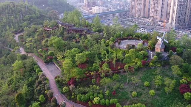 桐梓家门口的这些公园太好逛了→
