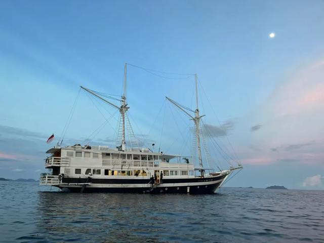 探远岛，交朋友