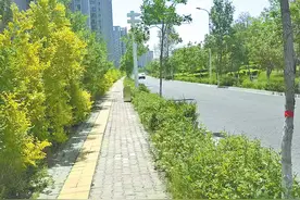 城市啄木鸟：故障健身器械阻碍交通影响市容 经开区（头屯河区）城管部门及时拆除并修补路面图片