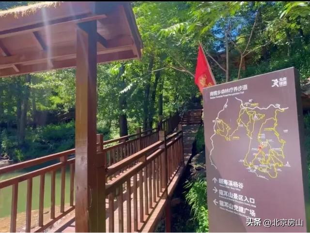 诚邀您共赴一场焕活身心的“森”呼吸之旅！