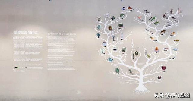 想去！华大时空中心遛娃攻略来啦！