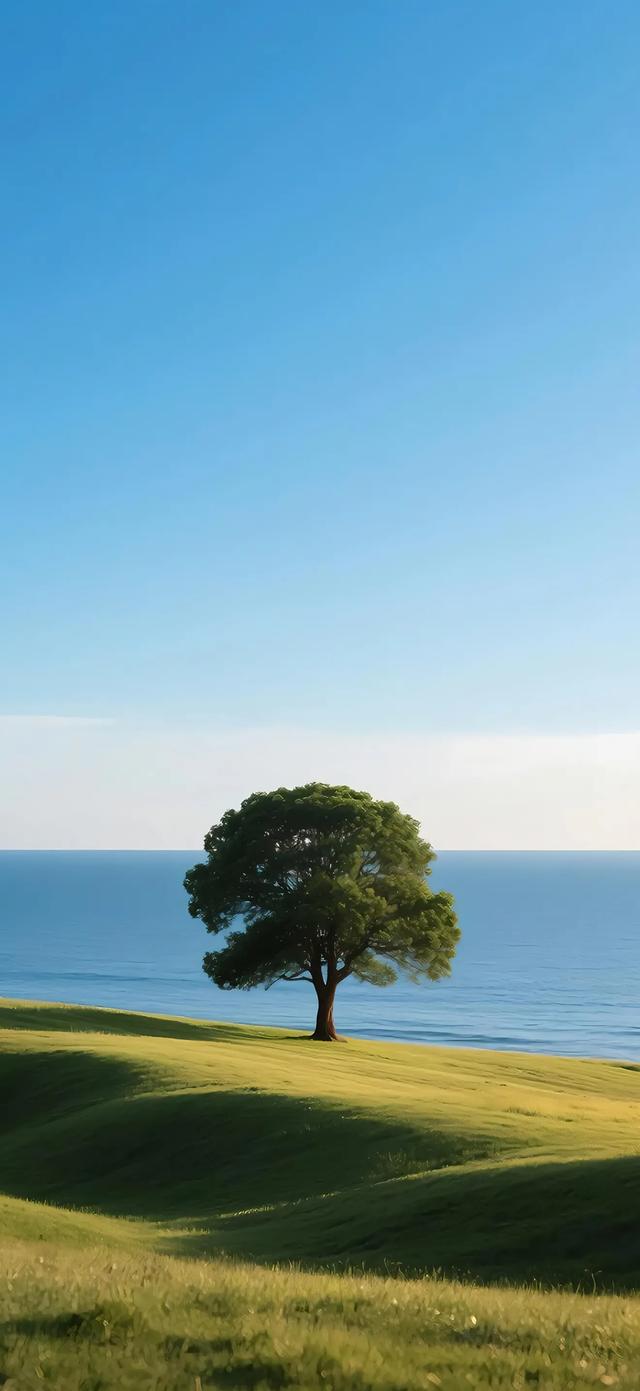 手机壁纸|简约的自然风光美景