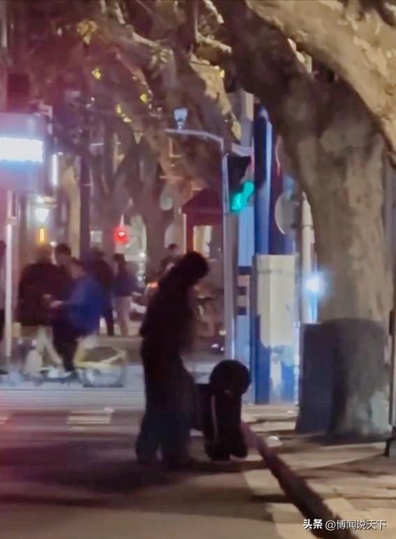 “封杀”4年后	，49岁赵薇财力现状被扒，结果估计和你想得不一样