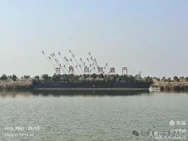 苇风载秋，鹤影映波——河北黄骅南大港湿地的初冬漫游｜ 申艳娟