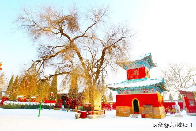 认识大美河南的每个县——第30波：武陟