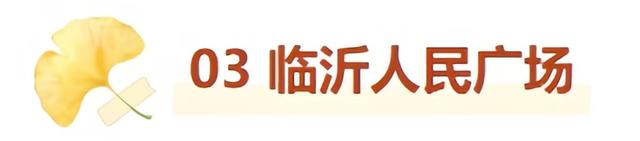 最适合拍银杏的地方！ 临沂十个0元打卡点，抓住今年最后的金色风暴！