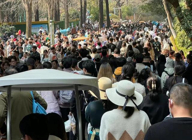 排队3小时，消费300！不起眼的旧园子，硬是把年轻人卷疯了