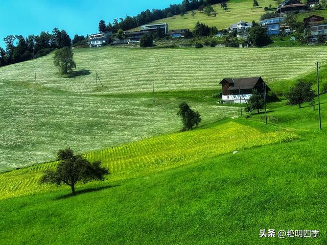 欧游杂记（5）‖ 齿轮火车几上几下瑞吉山，缆车凌空飞跃韦吉斯