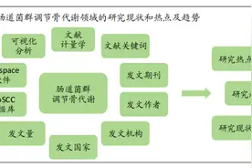 肠道菌群调节骨代谢：来自Web of Science核心合集数据库文献的可视化分析图片