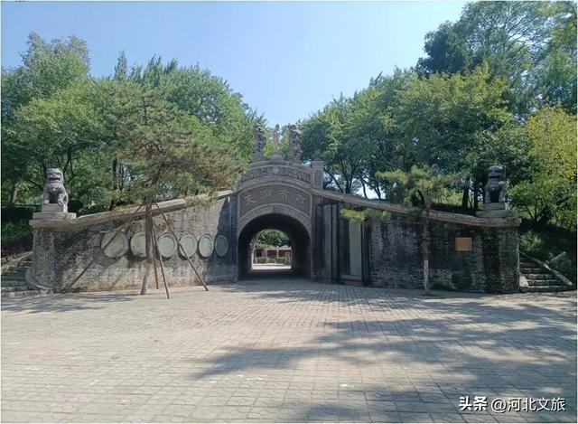 在保定，体验真实版“疯狂动物城”！