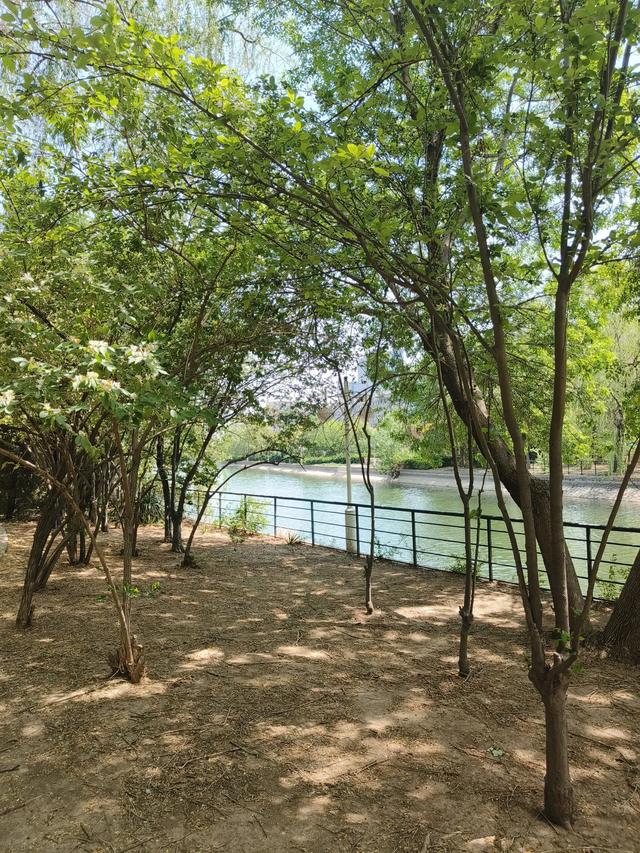 天津《复兴河公园》