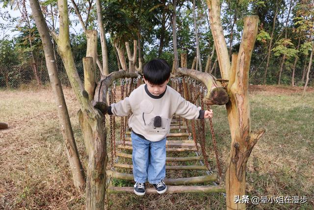 成都周边的“新西兰”牧场，看奶牛、喂萌宠、吃烧烤，被自然治愈