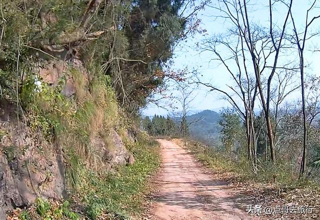 成都龙泉山爆红徒步路线，享受超级梭梭板，大人小孩都喜欢！