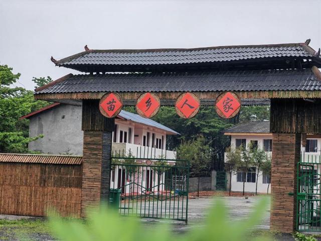 桐梓4条避暑康养路线，解锁你的夏日疗愈之旅！