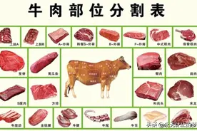 最全的牛肉不同部位名称以及吃法大全图片