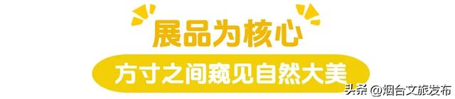 【乐享烟台】烟台自然博物馆：“五美融育”绘就“仙境海岸·最美博馆”