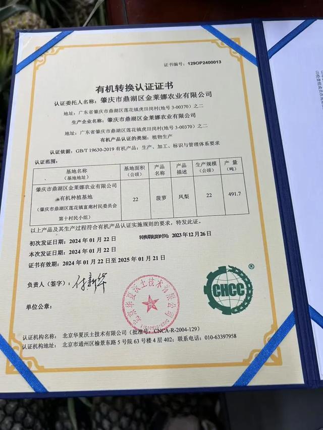 摘不完！根本摘不完！肇庆最新水果采摘好去处，gogogo~