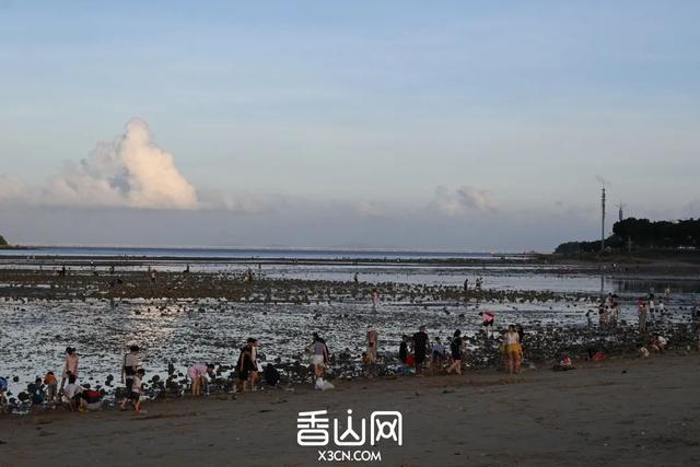 珠海赶海地图出炉！这些宝藏海滩，火爆了！