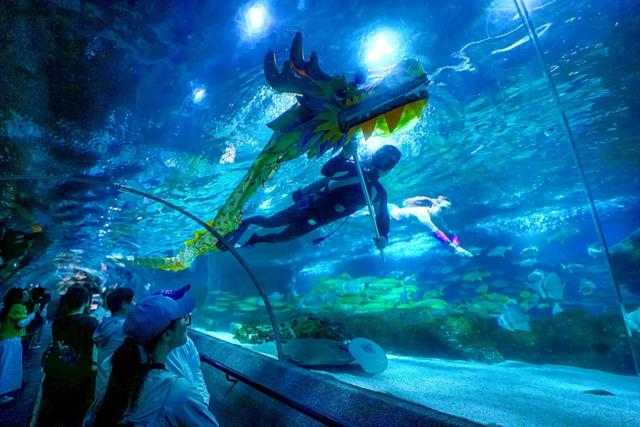 799元双人三件套!一卡在手玩转大连