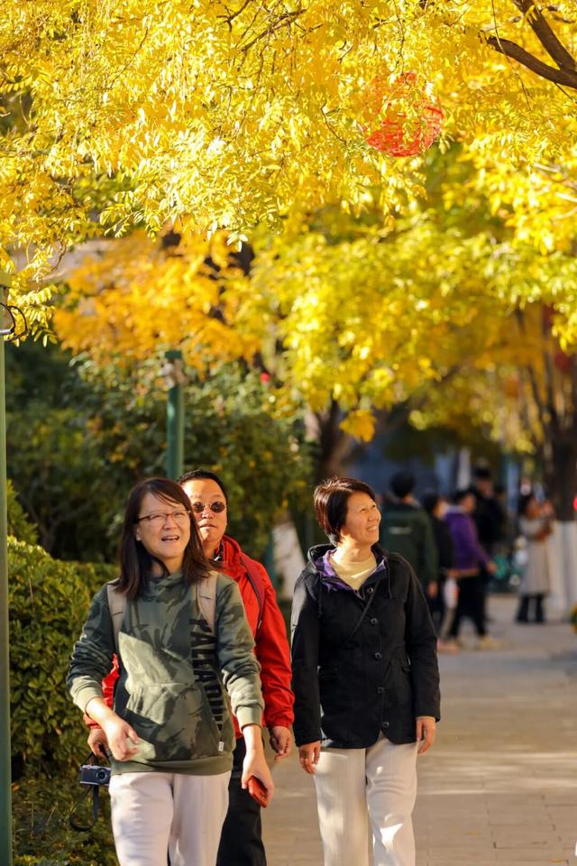 多图沉浸式感受和平秋韵