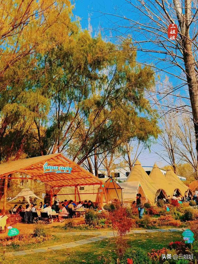 郑州冬日去哪晒暖，发现一个烧烤自由的露营基地