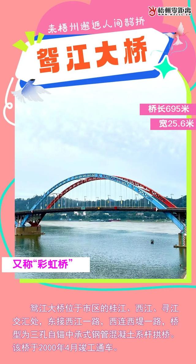 七夕，来梧州邂逅人间鹊桥