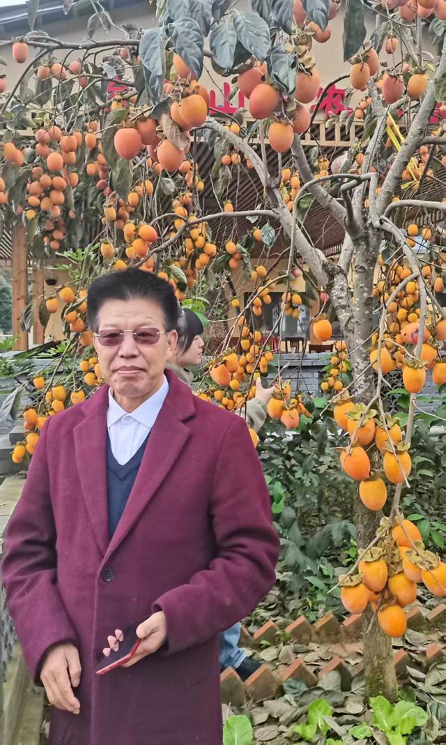 牛蹄岭雾中寻梦-陕西安康红色旅游一