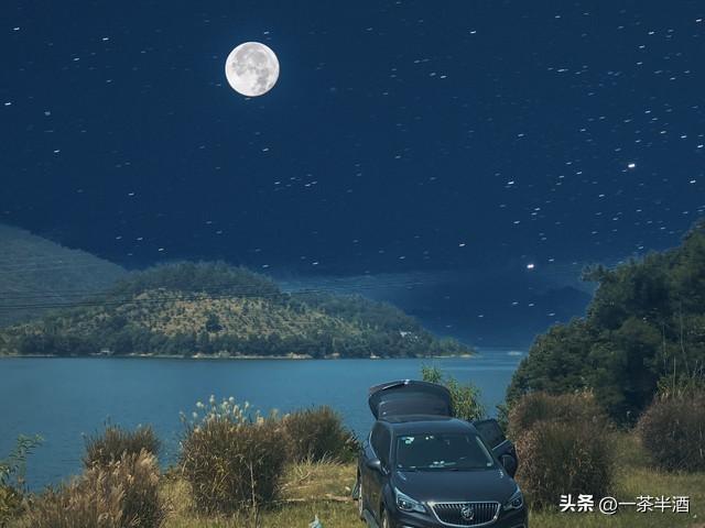 归巢的夜鸟，深夜她轻轻拉开了那扇微敞的车门