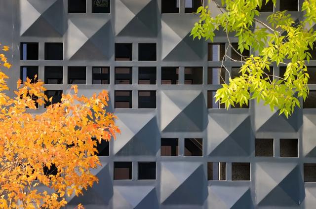 从从容容游刃有余！把江南的秋天“搬进”石景山——