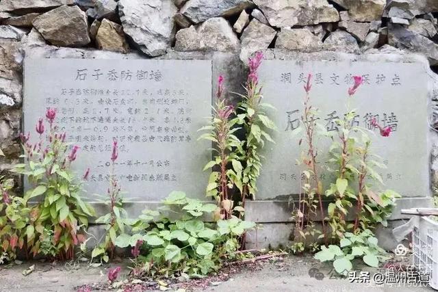 温州地理∶石子岙的防御墙,留给后人无尽的想像与猜测
