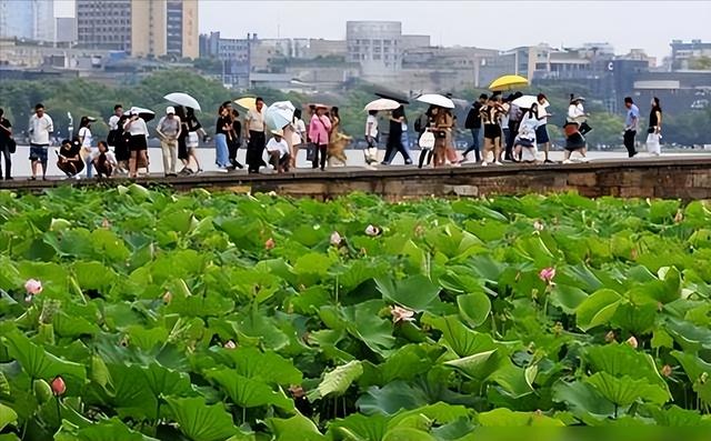 迪拜富婆来中国游玩，回国三天后坦言：阿联酋跟中国差距一目了然