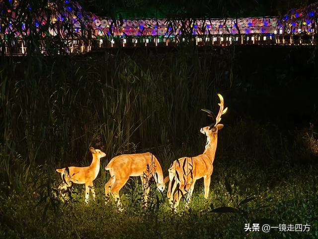 入夜，通化2021年打造的佟佳江旅游度假区灯光亮起，如梦似幻