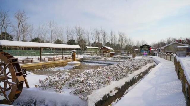 雪后的盐都，每一帧都是壁纸