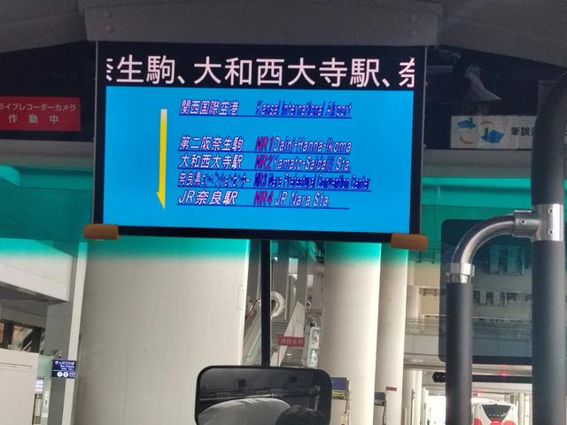 因为鹿，我爱上了奈良