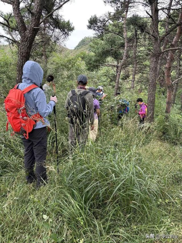 ​​​忍着胸上方肋骨的疼痛，爬了个齐长城，累计拔高900+，走了13公里