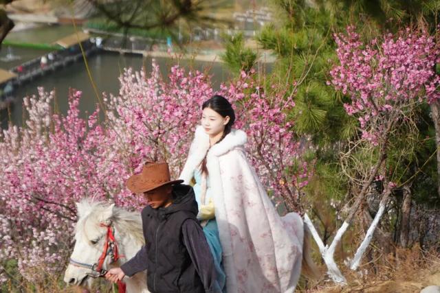 临沂花式闹元宵全攻略：灯会、赏花、优惠、演艺一键收藏！