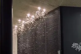 “密密麻麻像下雪！”知名歌手吃饭时被吓到，近期大爆发，杭州有小区已经出现……图片